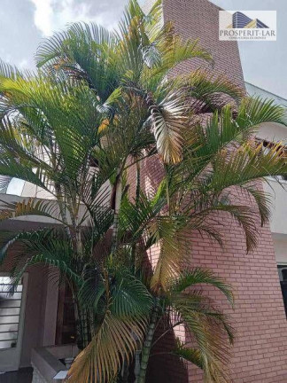 Imagem Casa com 3 Quartos à Venda, 283 m² em Vila Tijuco - Guarulhos Imagem Casa com 3 Quartos à Venda, 283 m² em Vila Tijuco - Guarulhos