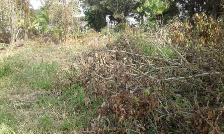 Imagem Terreno à Venda, 847 m² em Jd. Umuarama - Itanhaém Imagem Terreno à Venda, 847 m² em Jd. Umuarama - Itanhaém
