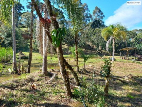 Imagem Chácara à Venda, 8.000 m² em Zona Rural - Quatro Barras Imagem Chácara à Venda, 8.000 m² em Zona Rural - Quatro Barras