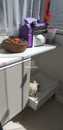 Imagem Apartamento com 2 Quartos à Venda, 58 m² em São Luiz - Caxias Do Sul