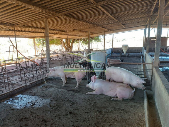 Fazenda à Venda, 33 m² em Prata