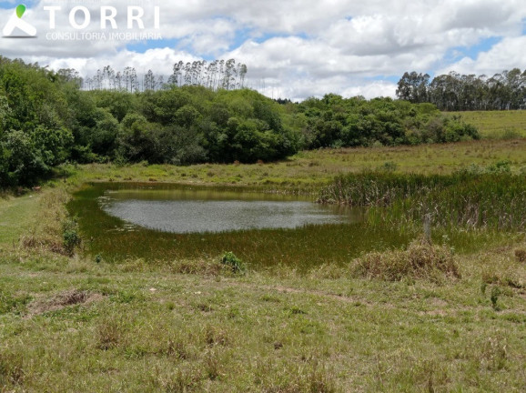 Imagem Imóvel com 1 Quarto à Venda, 1.137.400 m² em Centro - Paranapanema