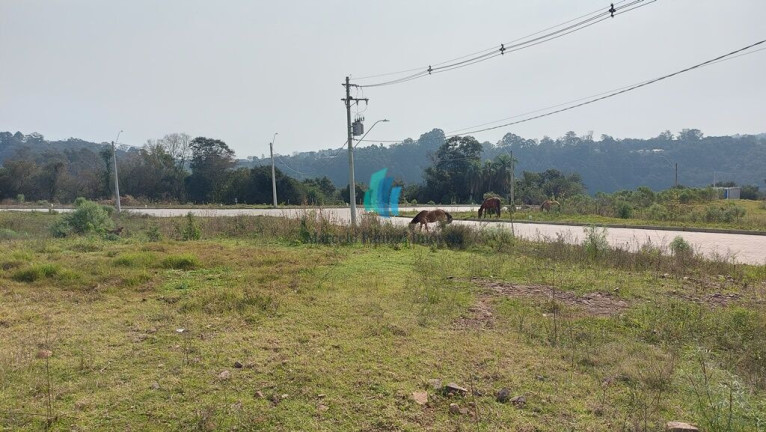Imagem Terreno à Venda, 240 m² em São Roque - Bento Gonçalves