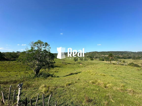 Imagem Fazenda à Venda, 1.300.000 m² em Centro - Mata De São João Imagem Fazenda à Venda, 1.300.000 m² em Centro - Mata De São João