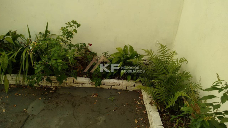 Imagem Casa com 5 Quartos à Venda, 352 m² em Vila Virgínia - Ribeirão Preto Imagem Casa com 5 Quartos à Venda, 352 m² em Vila Virgínia - Ribeirão Preto