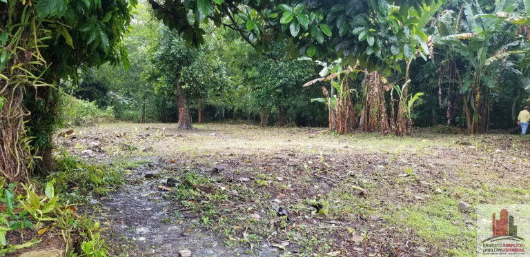 Imagem Terreno à Venda, 1.000 m² em Aldeia Dos Camarás - Camaragibe Imagem Terreno à Venda, 1.000 m² em Aldeia Dos Camarás - Camaragibe