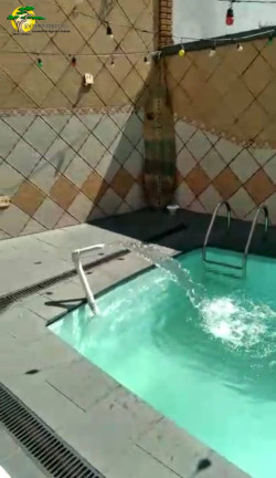 Imagem Sobrado com 3 Quartos à Venda, 490 m² em Vila Nova Mazzei - São Paulo