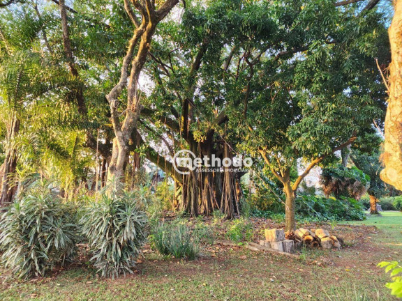Imagem Terreno à Venda, 5.090 m² em Taquaral - Campinas Imagem Terreno à Venda, 5.090 m² em Taquaral - Campinas