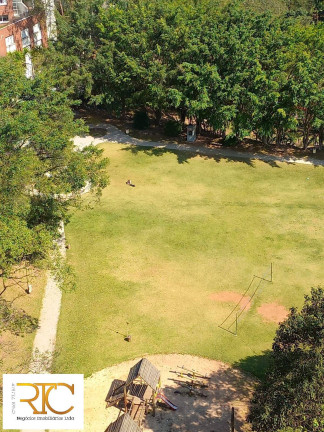 Imagem Apartamento com 3 Quartos à Venda, 70 m² em Vila Do Castelo - São Paulo