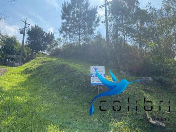 Imagem Terreno à Venda, 730 m² em Quatro Pinheiros - Mandirituba Imagem Terreno à Venda, 730 m² em Quatro Pinheiros - Mandirituba