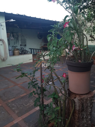 Imagem Casa com 3 Quartos à Venda, 170 m² em Campos Elíseos - Ribeirão Preto Imagem Casa com 3 Quartos à Venda, 170 m² em Campos Elíseos - Ribeirão Preto