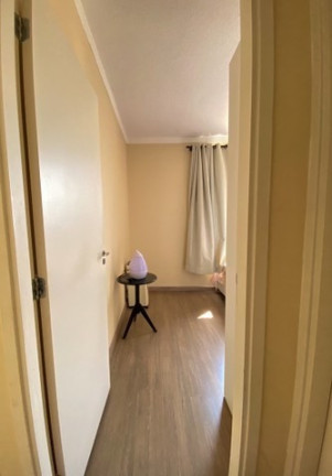 Imagem Apartamento com 2 Quartos à Venda, 42 m² em Parque Yolanda (nova Veneza) - Sumaré Imagem Apartamento com 2 Quartos à Venda, 42 m² em Parque Yolanda (nova Veneza) - Sumaré
