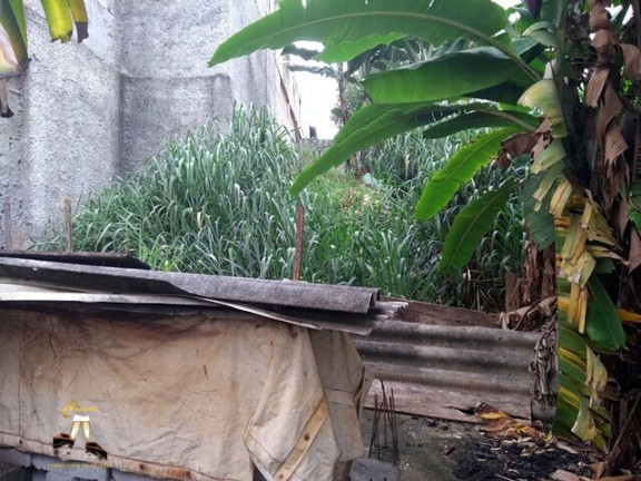 Imagem Terreno à Venda, 300 m² em Vila Gumercindo - São Paulo Imagem Terreno à Venda, 300 m² em Vila Gumercindo - São Paulo