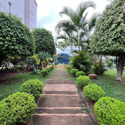 Imagem Apartamento com 3 Quartos à Venda, 67 m² em Cinquentenário - Belo Horizonte