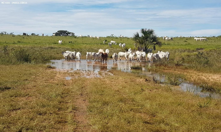 Imagem Fazenda à Venda, 4.405 m² em Rural - Mineiros Imagem Fazenda à Venda, 4.405 m² em Rural - Mineiros