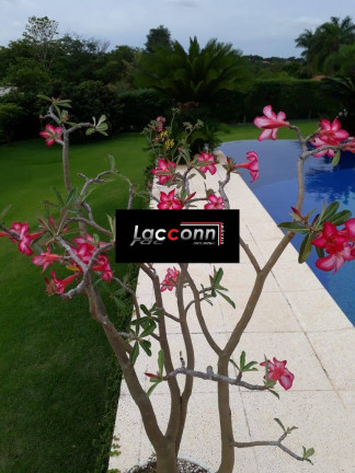Imagem Casa com 4 Quartos à Venda, 3.140 m² em Centro - Boituva Imagem Casa com 4 Quartos à Venda, 3.140 m² em Centro - Boituva