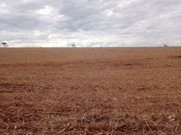 Imagem Imóvel à Venda, 18 m² em área Rural De Ribeirão Preto - Ribeirão Preto Imagem Imóvel à Venda, 18 m² em área Rural De Ribeirão Preto - Ribeirão Preto