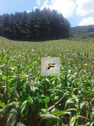 Imagem Imóvel à Venda, 117.000 m² em água Amarela - Antônio Olinto Imagem Imóvel à Venda, 117.000 m² em água Amarela - Antônio Olinto