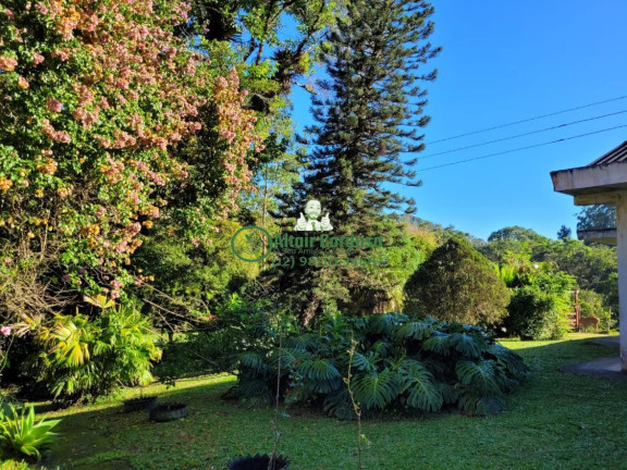 Imagem Fazenda à Venda, 181.500 m² em Centro - Paraibuna
