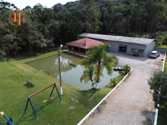 Imagem Imóvel à Venda, 4.000 m² em Borda Do Campo - São José Dos Pinhais
