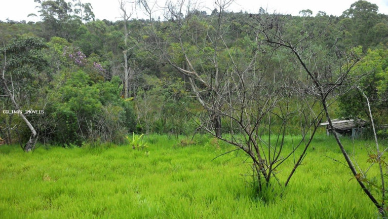 Terreno à Venda,  em Antes Do Centro - Ibiúna