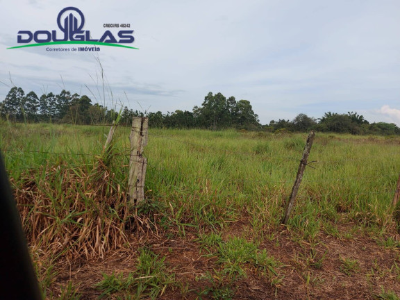 Imagem Chácara à Venda, em Viamão Imagem Chácara à Venda, em Viamão