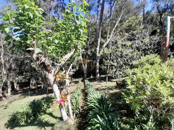 Imagem Casa com 2 Quartos à Venda, 5.940 m² em Santa Rita - Teresópolis Imagem Casa com 2 Quartos à Venda, 5.940 m² em Santa Rita - Teresópolis