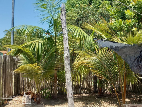 Imagem Fazenda à Venda, 1.600 m² em Imirizal - Salvaterra