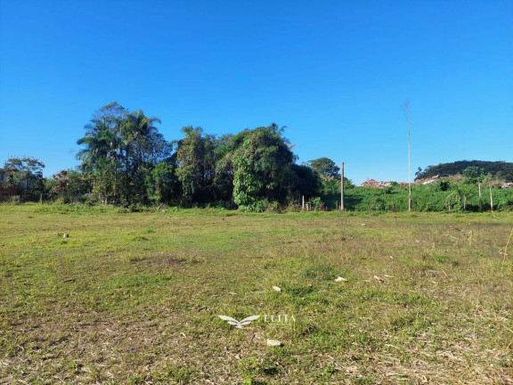 Imagem Chácara com 2 Quartos à Venda, 19.000 m² em Vila Nova - Barra Velha