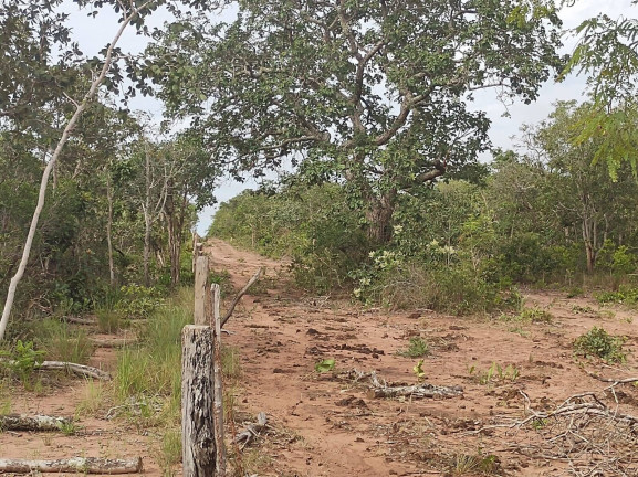 Imagem Fazenda à Venda, 75 m² em Uberlândia Imagem Fazenda à Venda, 75 m² em Uberlândia