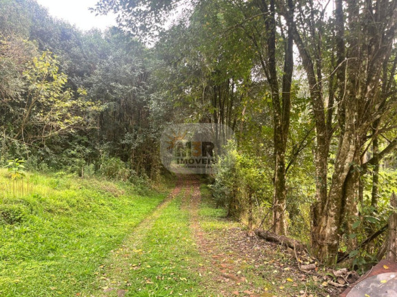 Imagem Imóvel com 3 Quartos à Venda, 205 m² em Ninho Das águias - Nova Petrópolis Imagem Imóvel com 3 Quartos à Venda, 205 m² em Ninho Das águias - Nova Petrópolis