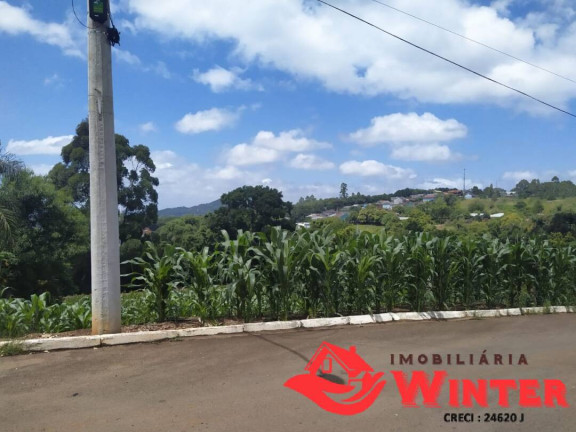 Imagem Terreno à Venda, 781 m² em Centro - Alto Feliz Imagem Terreno à Venda, 781 m² em Centro - Alto Feliz