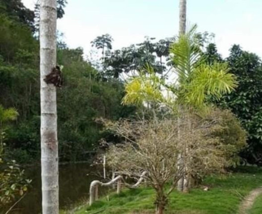 Imagem Imóvel com 5 Quartos à Venda, 500 m² em Domingos Martins - Domingos Martins Imagem Imóvel com 5 Quartos à Venda, 500 m² em Domingos Martins - Domingos Martins