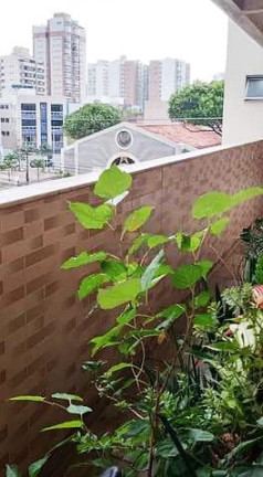 Imagem Apartamento com 2 Quartos à Venda, 53 m² em Itapuã - Vila Velha