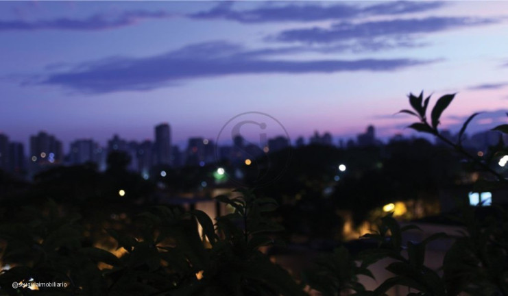 Imagem Apartamento com 4 Quartos à Venda, 571 m² em Planalto Paulista - São Paulo Imagem Apartamento com 4 Quartos à Venda, 571 m² em Planalto Paulista - São Paulo