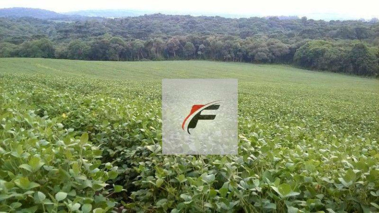 Imagem Chácara com 3 Quartos à Venda, 242.000 m² em Centro - Lapa