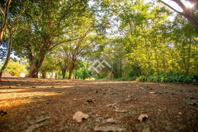 Imagem Fazenda à Venda, em Recanto Do Cedro - Sertanópolis Imagem Fazenda à Venda, em Recanto Do Cedro - Sertanópolis