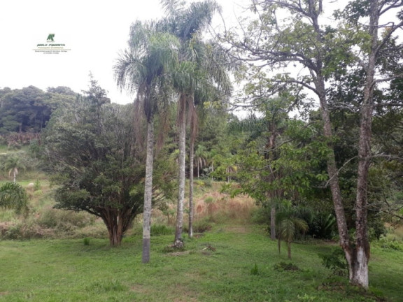 Imagem Fazenda à Venda, 450.000 m² em Capela Do Cepo - São Roque