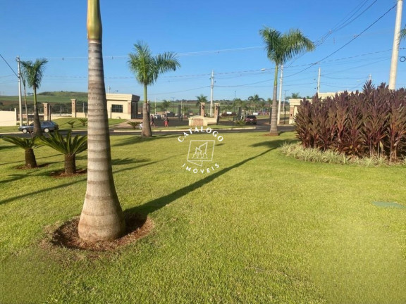 Imagem Casa de Condomínio com 3 Quartos à Venda, 250 m² em Quinta Da Mata - Ribeirão Preto Imagem Casa de Condomínio com 3 Quartos à Venda, 250 m² em Quinta Da Mata - Ribeirão Preto