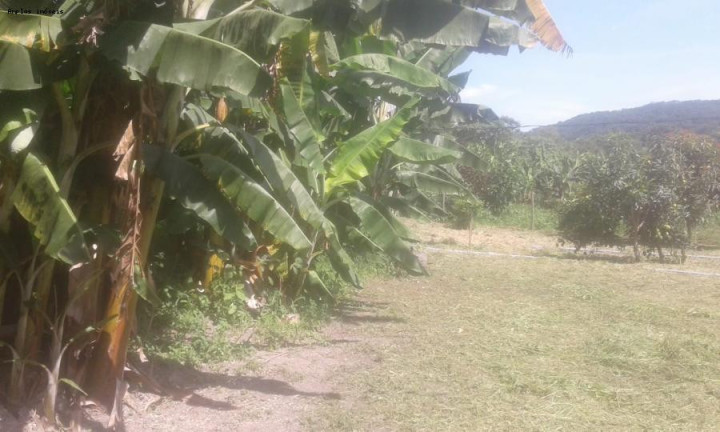 Imagem Chácara com 3 Quartos à Venda, 90 m² em Azurita - Mateus Leme