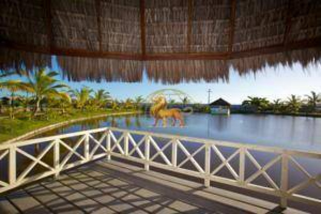 Imagem Casa à Venda, 15.000 m² em Praia Do Mutá - Porto Seguro