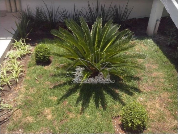 Imagem Apartamento com 2 Quartos à Venda, em Parada Xv De Novembro - São Paulo Imagem Apartamento com 2 Quartos à Venda, em Parada Xv De Novembro - São Paulo