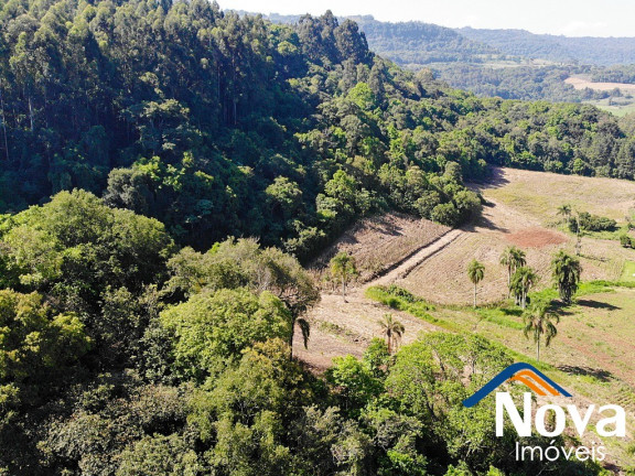 Imagem Imóvel à Venda, em Pinhal Alto - Nova Petrópolis Imagem Imóvel à Venda, em Pinhal Alto - Nova Petrópolis