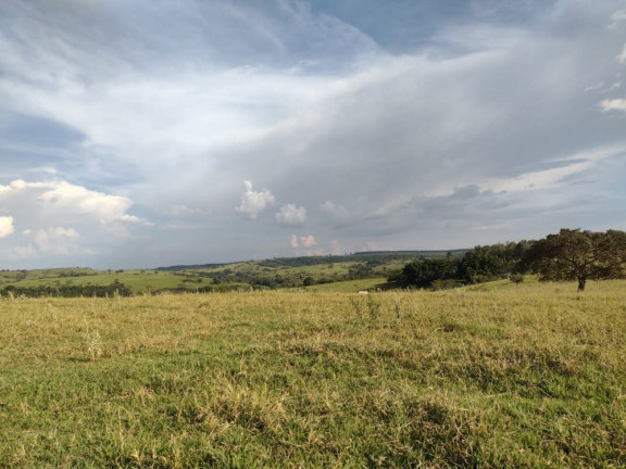 Imagem Imóvel à Venda, 10 m² em área Rural De Avaí - Avaí Imagem Imóvel à Venda, 10 m² em área Rural De Avaí - Avaí