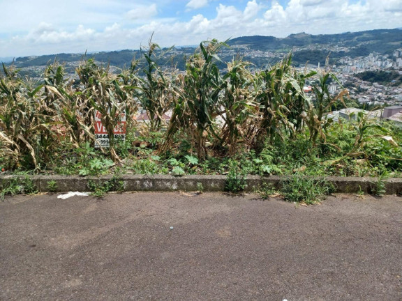 Terreno à Venda, 450 m² em Nações - Concórdia