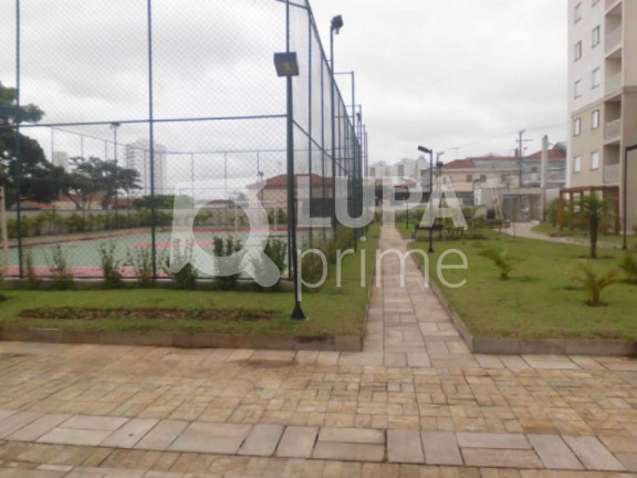 Imagem Apartamento com 2 Quartos à Venda, 52 m² em Vila Maria - São Paulo Imagem Apartamento com 2 Quartos à Venda, 52 m² em Vila Maria - São Paulo