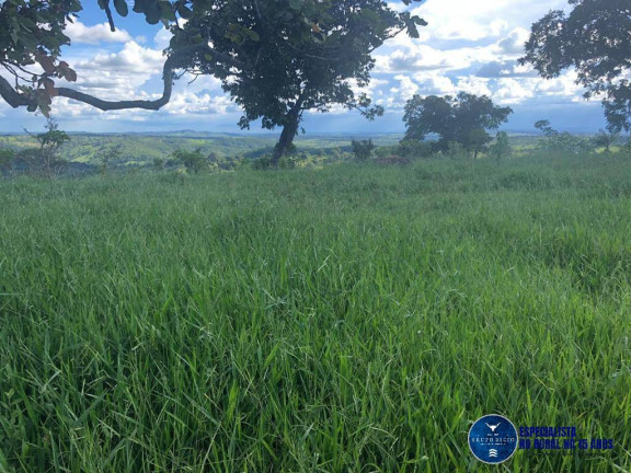 Imagem Fazenda à Venda, 52 m² em Zona Rural - Senador Canedo Imagem Fazenda à Venda, 52 m² em Zona Rural - Senador Canedo