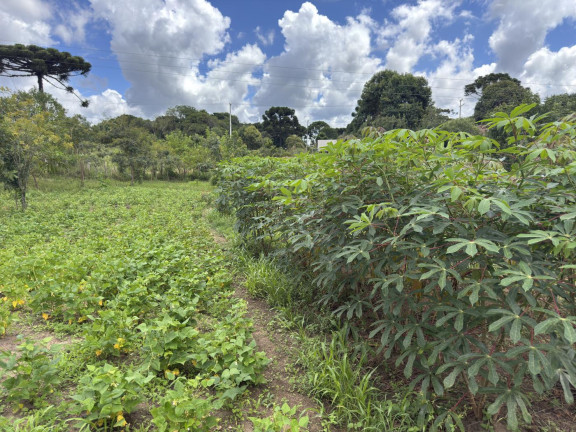 Imagem Imóvel à Venda, 5.500 m² em Rio Da Várzea - Quitandinha Imagem Imóvel à Venda, 5.500 m² em Rio Da Várzea - Quitandinha
