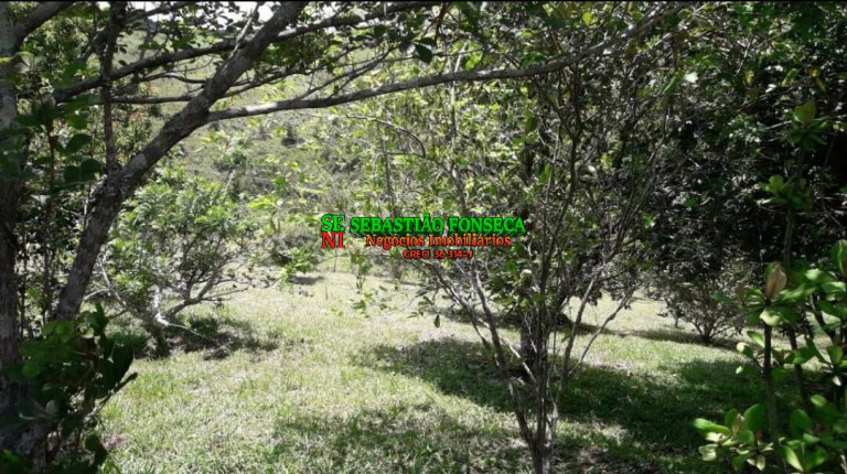 Imagem Chácara com 3 Quartos à Venda, 59.000 m² em Sob Consulta - Guararema Imagem Chácara com 3 Quartos à Venda, 59.000 m² em Sob Consulta - Guararema