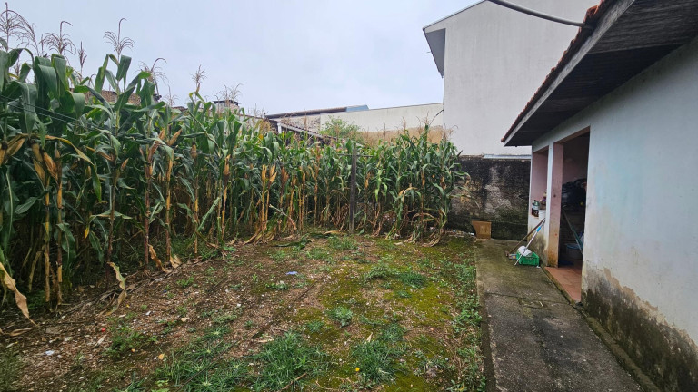 Imagem Casa com 3 Quartos à Venda, 130 m² em Capela Velha - Araucaria